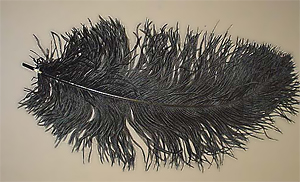 ostrichminiplumes-перья страуса.jpg