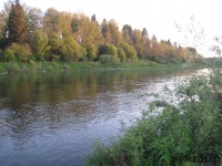 1 река Сылва Кишертский район Реверсивным корабликом на мушки.jpg