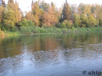 2 река Сылва Кишертский район Реверсивным корабликом на мушки.jpg