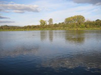 3 река Сылва Кишертский район Реверсивным корабликом на мушки.jpg